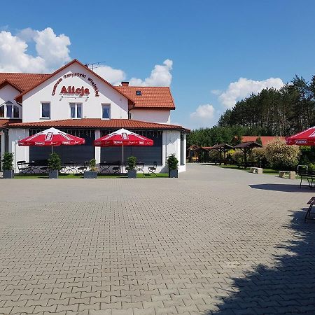Centrum Turystyki Wiejskiej Alicja Ksiezpol Kültér fotó